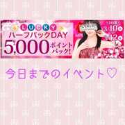 ヒメ日記 2026/03/12 07:58 投稿 さあや 成田人妻花壇