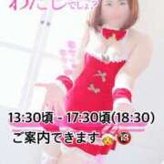 ヒメ日記 2024/12/15 11:13 投稿 なつめ 11チャンネル