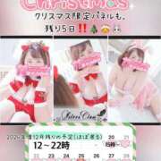 ヒメ日記 2024/12/20 14:00 投稿 なつめ 11チャンネル