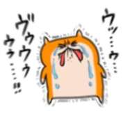 ヒメ日記 2024/12/20 15:47 投稿 なつめ 11チャンネル