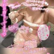 ヒメ日記 2024/12/23 10:43 投稿 なつめ 11チャンネル