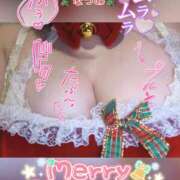 ヒメ日記 2024/12/24 11:12 投稿 なつめ 11チャンネル