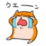 ヒメ日記 2024/12/27 13:20 投稿 なつめ 11チャンネル