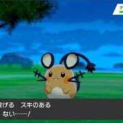 ヒメ日記 2024/12/30 13:30 投稿 なつめ 11チャンネル