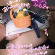 ヒメ日記 2024/12/31 15:06 投稿 なつめ 11チャンネル