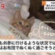 ヒメ日記 2025/01/14 03:18 投稿 なつめ 11チャンネル