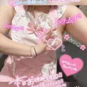 ヒメ日記 2025/02/12 13:46 投稿 なつめ 11チャンネル