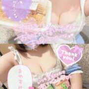 ヒメ日記 2025/02/19 09:50 投稿 なつめ 11チャンネル