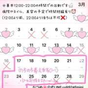 ヒメ日記 2025/02/23 01:22 投稿 なつめ 11チャンネル