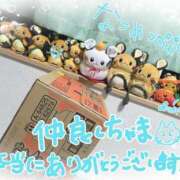 ヒメ日記 2025/03/09 17:52 投稿 なつめ 11チャンネル