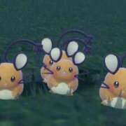 ヒメ日記 2025/04/27 13:24 投稿 なつめ 11チャンネル