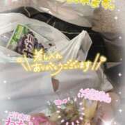 ヒメ日記 2025/04/29 16:36 投稿 なつめ 11チャンネル