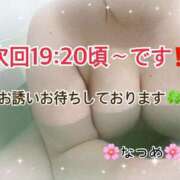 ヒメ日記 2025/05/08 16:29 投稿 なつめ 11チャンネル