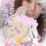 ヒメ日記 2025/06/11 13:33 投稿 なつめ 11チャンネル