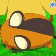 ヒメ日記 2025/07/16 14:02 投稿 なつめ 11チャンネル