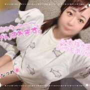 ヒメ日記 2025/08/20 13:08 投稿 なつめ 11チャンネル