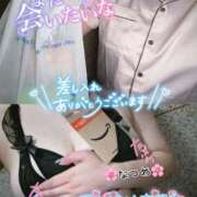 ヒメ日記 2025/09/12 20:48 投稿 なつめ 11チャンネル