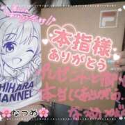 ヒメ日記 2025/09/16 17:36 投稿 なつめ 11チャンネル