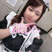 ヒメ日記 2025/11/24 13:34 投稿 なつめ 11チャンネル