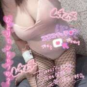 ヒメ日記 2025/11/29 11:27 投稿 なつめ 11チャンネル