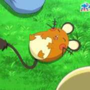 ヒメ日記 2026/01/19 16:09 投稿 なつめ 11チャンネル