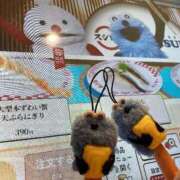 ヒメ日記 2026/03/05 23:59 投稿 なつめ 11チャンネル