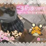 ヒメ日記 2026/05/14 10:55 投稿 なつめ 11チャンネル