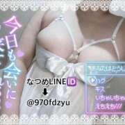 ヒメ日記 2026/08/19 11:33 投稿 なつめ 11チャンネル