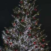 ヒメ日記 2025/12/24 22:17 投稿 ひなみ New Sky