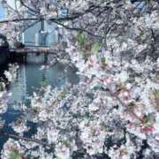 ヒメ日記 2025/04/11 22:53 投稿 かのん ナイスレディ