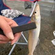 ヒメ日記 2025/08/18 15:09 投稿 みま 熟女の風俗最終章 新潟店