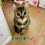 ヒメ日記 2025/11/02 03:43 投稿 みま 熟女の風俗最終章 新潟店