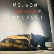 ヒメ日記 2025/04/05 23:55 投稿 しほ バイオレンス