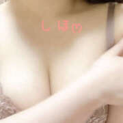 ヒメ日記 2025/04/18 07:05 投稿 しほ バイオレンス