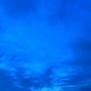 ヒメ日記 2025/04/18 08:07 投稿 しほ バイオレンス