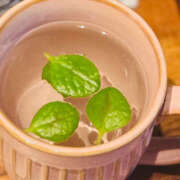 ヒメ日記 2025/05/19 14:06 投稿 しほ バイオレンス