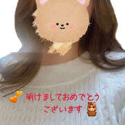 しほ こんにちは！ バイオレンス