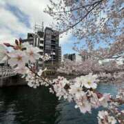 ヒメ日記 2026/03/28 15:35 投稿 葵　みやび やみつきエステ2nd 横浜店