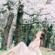 ヒメ日記 2025/04/11 06:42 投稿 藤堂　すみれ やみつきエステ2nd 横浜店