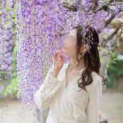 ヒメ日記 2025/04/28 14:44 投稿 藤堂　すみれ やみつきエステ2nd 横浜店