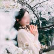 ヒメ日記 2025/05/02 12:34 投稿 藤堂　すみれ やみつきエステ2nd 横浜店