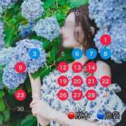 ヒメ日記 2025/05/31 16:44 投稿 藤堂　すみれ やみつきエステ2nd 横浜店