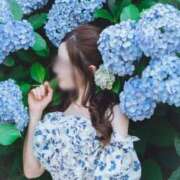 ヒメ日記 2025/06/12 22:34 投稿 藤堂　すみれ やみつきエステ2nd 横浜店