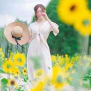 ヒメ日記 2025/06/19 18:04 投稿 藤堂　すみれ やみつきエステ2nd 横浜店