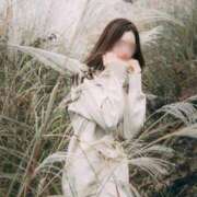 ヒメ日記 2025/11/19 08:05 投稿 藤堂　すみれ やみつきエステ2nd 横浜店