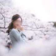 ヒメ日記 2026/04/01 07:55 投稿 藤堂　すみれ やみつきエステ2nd 横浜店