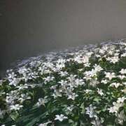 ヒメ日記 2026/03/31 18:35 投稿 百瀬　かりな やみつきエステ2nd 横浜店