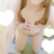 ヒメ日記 2025/04/11 16:31 投稿 さな なでしこ(十三)