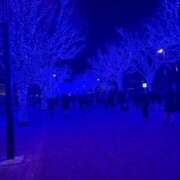 ヒメ日記 2024/12/24 19:16 投稿 すみれ チェックイン横浜女学園