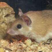 ヒメ日記 2025/03/19 16:28 投稿 すみれ チェックイン横浜女学園